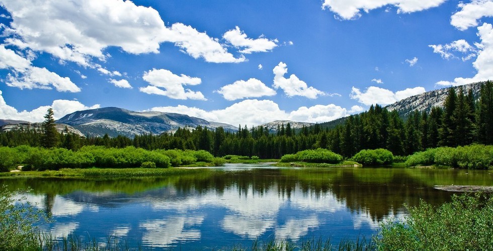 https://d3r8gwkgo0io6y.cloudfront.net/upload/Alaska in spring.jpg